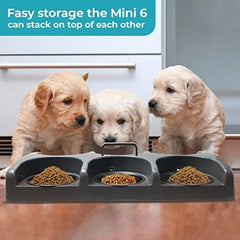Six Bowl Puppy Kitten Feeder Station