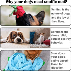 Snuffle Mat for Dogs