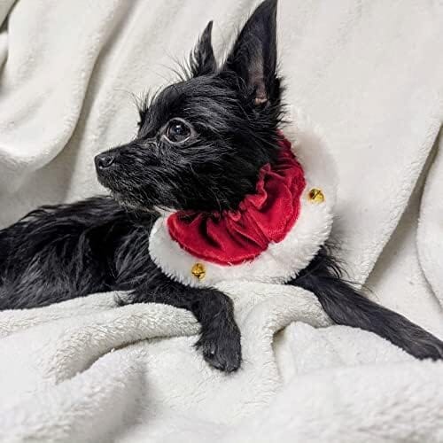 Soft Collar with Bells