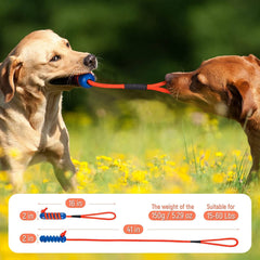 Tough Dog Toys for Aggressive Chewers