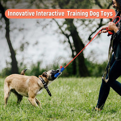 Tough Dog Toys for Aggressive Chewers