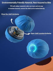 USB Rechargeable Motion-Activated Rolling Toy