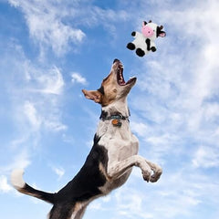 White Cow Plush Dog Toy with Crinkle Paper Stuffed Cow