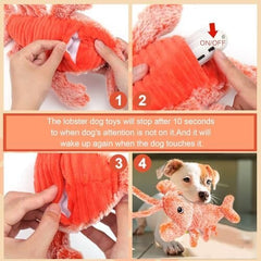 Wiggly Lobster Dog Toy for Boredom